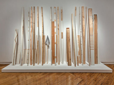 Dressed Lumber (exhibition view), from Standardizing Nature: Trees, Wood, Lumber, 2014