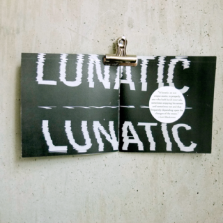 Lunatic, 2013.  6 x 6 inches, 20 pages .