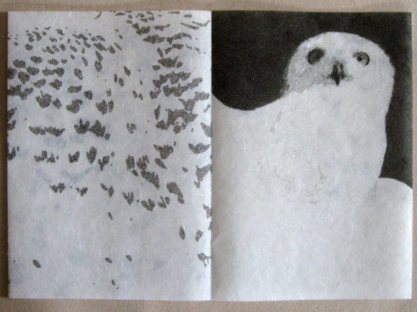 Cathryn Miller, Snowy Owl, 2009