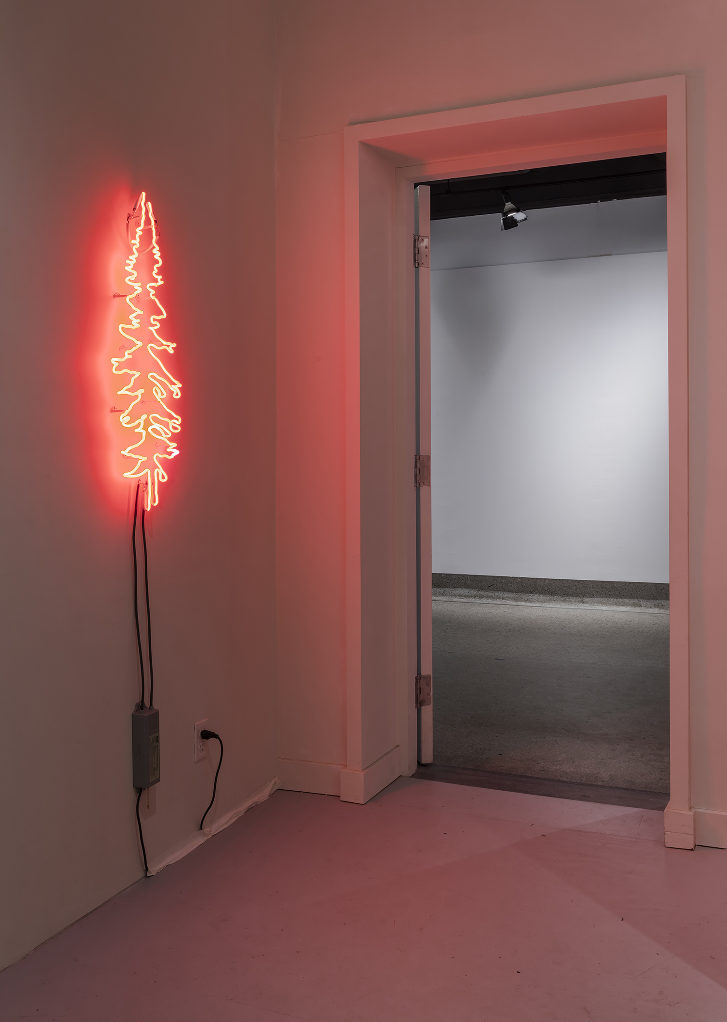 Biliana Velkova, Untitled Spruce Tree, 2014, fluorescent light tubes, from Precious Commodity, Critical Distance Centre for Curators, 2017. Installation documentation by Toni Hafkenscheid.