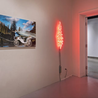 Biliana Velkova, Landscape With a Horse on Bow River, 2011, digital print on dibond, 24"x40"; Biliana Velkova, Untitled Spruce Tree, 2014, fluorescent light tubes, from Precious Commodity, Critical Distance Centre for Curators, 2017. Installation documentation by Toni Hafkenscheid.