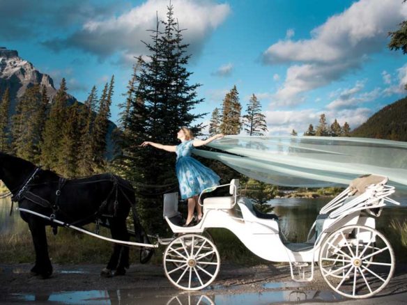 Biliana Velkova, Landscape With a Horse on Bow River, 2011, digital print on dibond, 24"x40" from Precious Commodity, Critical Distance Centre for Curators, 2017. Installation documentation by Toni Hafkenscheid.