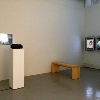 Of Other Faces, curated by Shani K Parsons, installation view with work by Andrea Cohen and Wiska Radkiewicz, Marta Ryczko, and Victoria Fu in Of Other Faces, curated by Shani K Parsons, TYPOLOGY Projects, 2014.