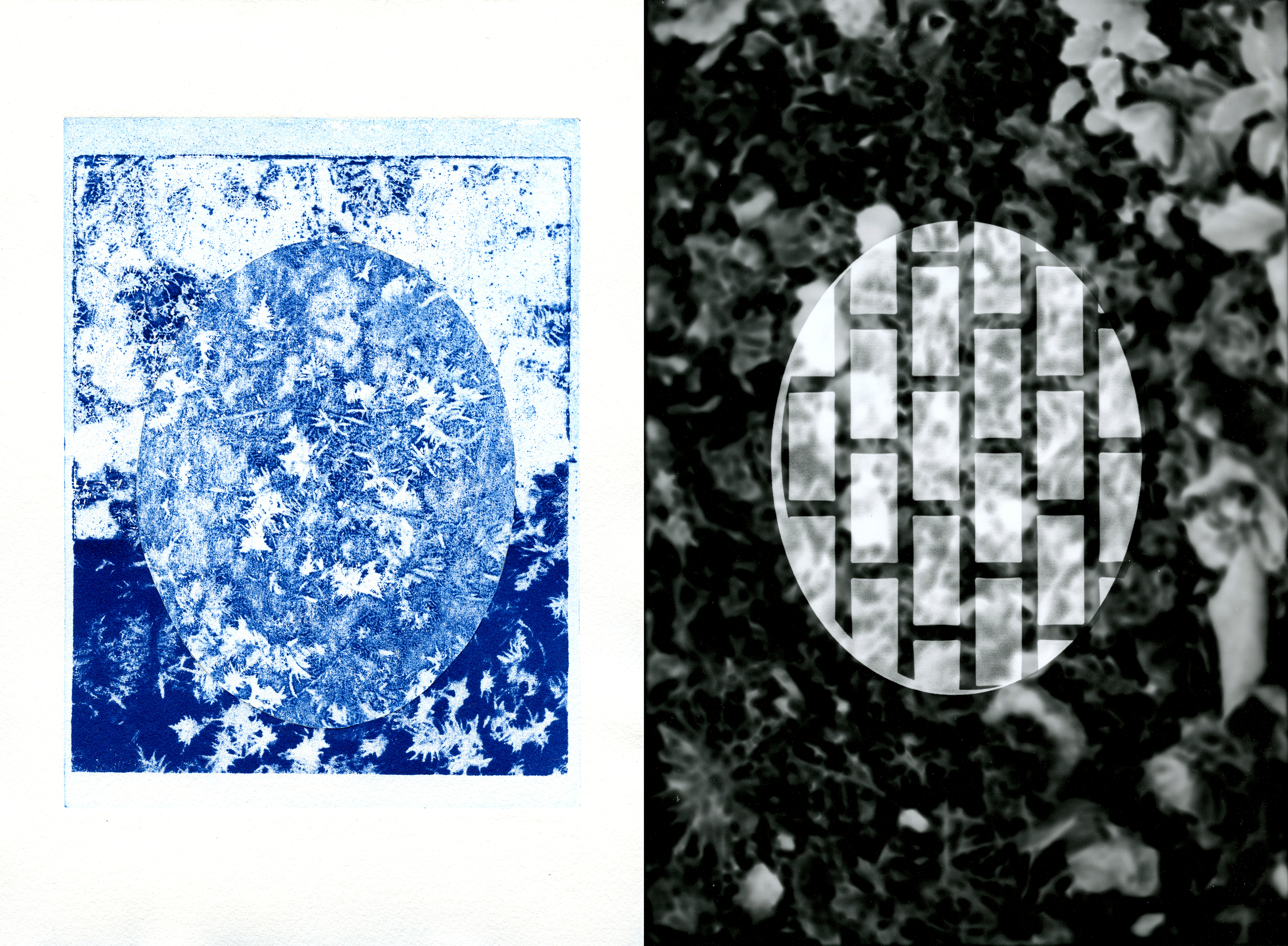 Sarah Comfort, 2017, Untitled (Ovals), photopolymer etching, collage; untitled (Ovals), 2017, RC silver print, 7"x10" (each).