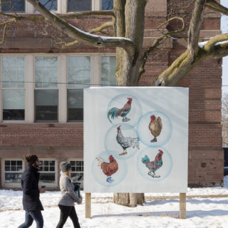 Winter 2018 Billboard on Shaw, "Ego" by Quratulain Butt, from We Look at Animals Because, curated by Nahed Mansour and Toleen Touq, Critical Distance Centre for Curators, 2018. Installation documentation by Toni Hafkenscheid.