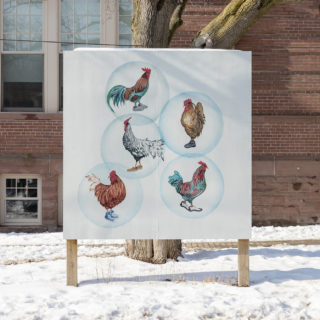 Winter 2018 Billboard on Shaw, "Ego" by Quratulain Butt, from We Look at Animals Because, curated by Nahed Mansour and Toleen Touq, Critical Distance Centre for Curators, 2018. Installation documentation by Toni Hafkenscheid.