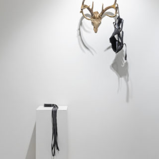 Dayna Danger, Deer Rack and Harness, 2018 bone, hair, leather, dimensions variable; Beaded Flogger, 2017, leather, beads, thread, dimensions variable, from Forward Facing curated by Cass Gardiner, Critical Distance Centre for Curators, 2018. Installation documentation by Toni Hafkenscheid.