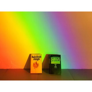 Adrienne Crossman, 5311, 2017, refracted rainbow light, found books.