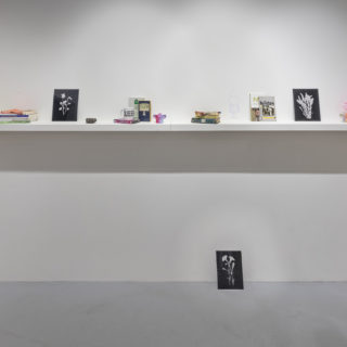 Adrienne Crossman, Footnotes to a Queer Art Practice, 2018, mixed-media installation, in ...move or be moved by some 'thing' rather than oneself, curated by Florence-Agathe Dubé-Moreau and Maude Johnson, Critical Distance Centre for Curators, 2018. Installation documentation by Toni Hafkenscheid.
