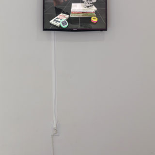 Adrienne Crossman, Queer Still Life part 1, 2016, single-channel video, 1.5 min loop, in ...move or be moved by some 'thing' rather than oneself, curated by Florence-Agathe Dubé-Moreau and Maude Johnson, Critical Distance Centre for Curators, 2018. Installation documentation by Toni Hafkenscheid.
